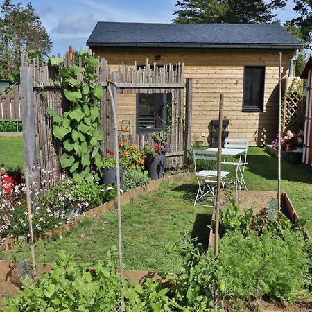 Bed and Breakfast Kerlobek Etoile Groix Exterior foto